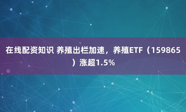 在线配资知识 养殖出栏加速，养殖ETF（159865）涨超1.5%