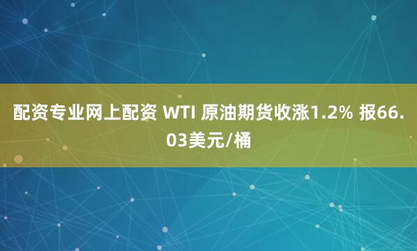 配资专业网上配资 WTI 原油期货收涨1.2% 报66.03美元/桶