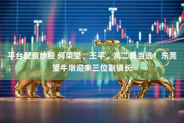 平台配资炒股 何荣坚、王平、高二勇当选！东莞望牛墩迎来三位副镇长